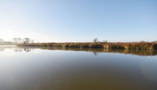 St Olaves - Mooring plot