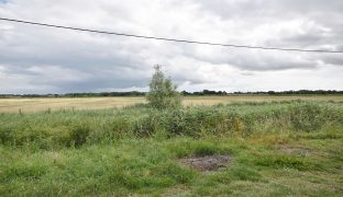 Potter Heigham - Mooring plot