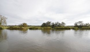 Potter Heigham - 2 Bedroom Detached bungalow