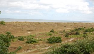 Winterton on Sea - 2 Bedroom Semi-detached bungalow