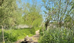 Beccles - Mooring plot