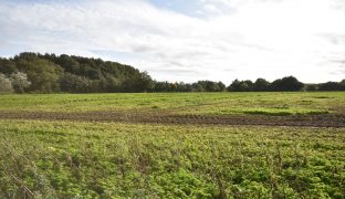 Beccles - 5 Bedroom Barn conversion