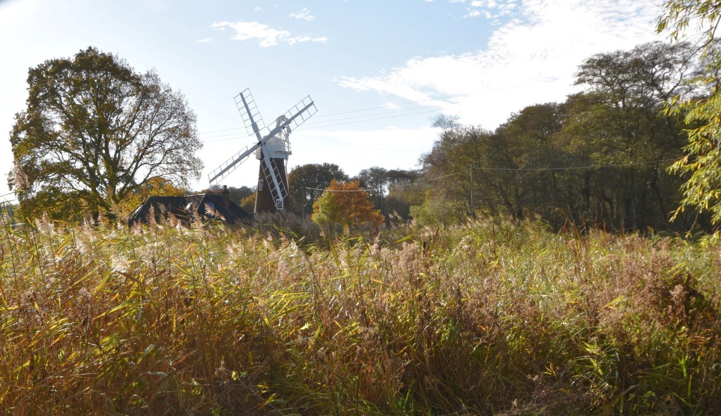 Waterside Estate Agents