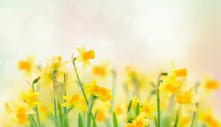 Spring Property Surge