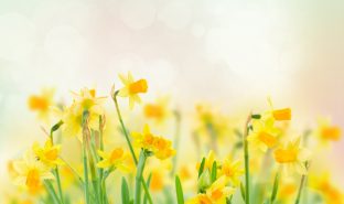 The Ultimate Guide to Buying Waterside Property in the Spring