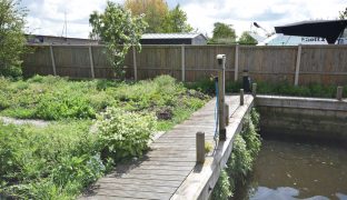 Brundall - Mooring Plot