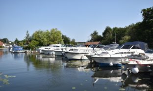 Horning - Mooring plot