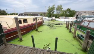 Brundall - Mooring plot