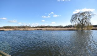 Horning - 4 Bedroom Detached bungalow