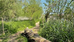 Beccles - Mooring plot