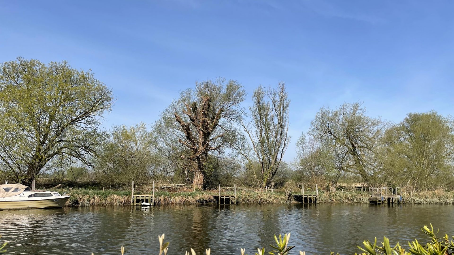 Mooring Plot, River Waveney, Beccles Waterside Estate Agents