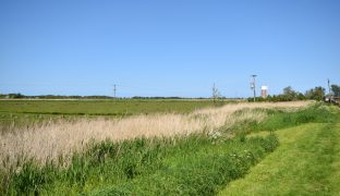 Potter Heigham - 2 Bedroom Detached bungalow