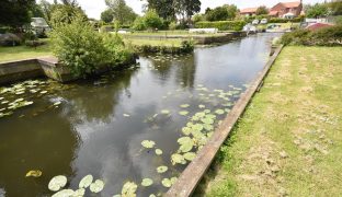 Dilham - Mooring plot