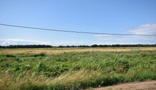 Potter Heigham - 3 Bedroom detached bungalow