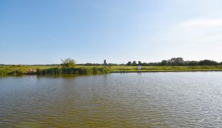 Potter Heigham - Mooring Plot