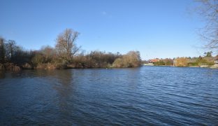 Horning - Mooring plot