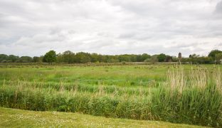 Potter Heigham - Mooring Plot