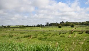 Martham - Detached bungalow
