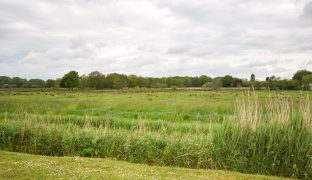 Potter Heigham - Mooring Plot