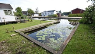 Horning - Plot