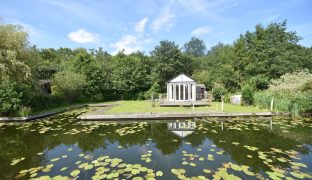 Horning - Plot
