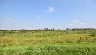 Potter Heigham - 2 Bedroom Detached bungalow