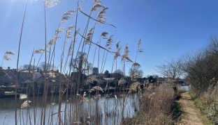 Beccles - mooring plot