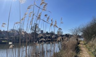 Beccles - mooring plot