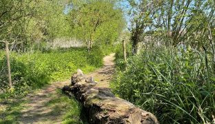 Beccles - mooring plot