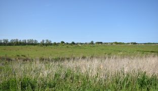 Potter Heigham - 2 Bedroom detached bungalow